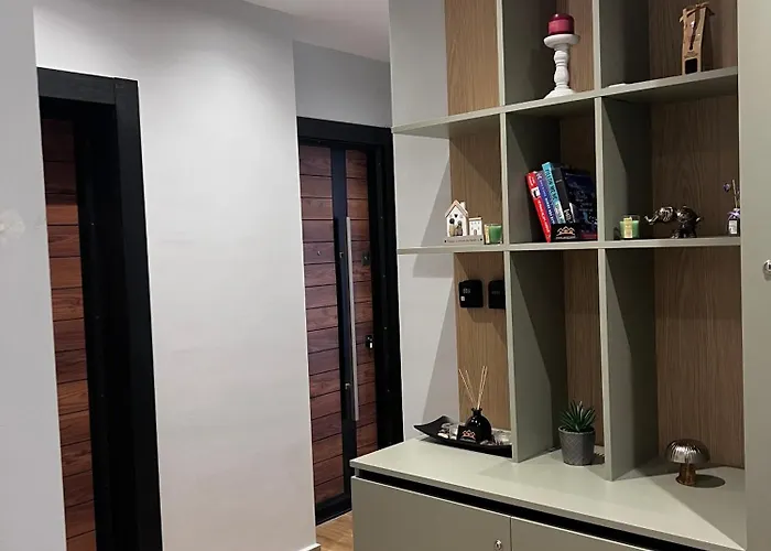 Shehu 公寓 地拉那