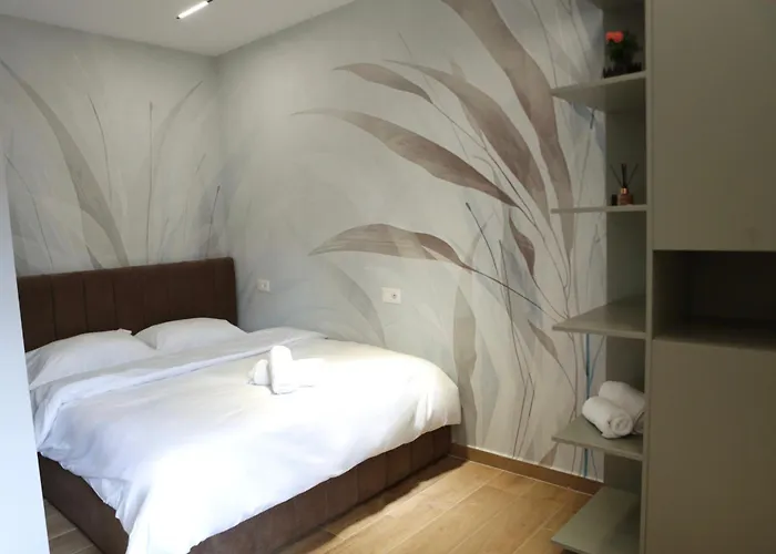 Shehu Apartment Tirana